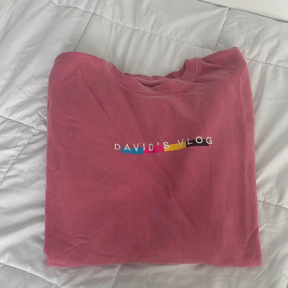 David's Vlog Pink Sweatshirt